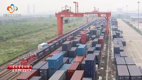 武汉市商务局 当好企业“娘家人”，精准服务助力日用百货行业发展